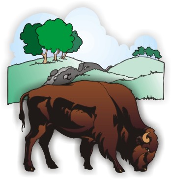 Buffalo Ridge Logo